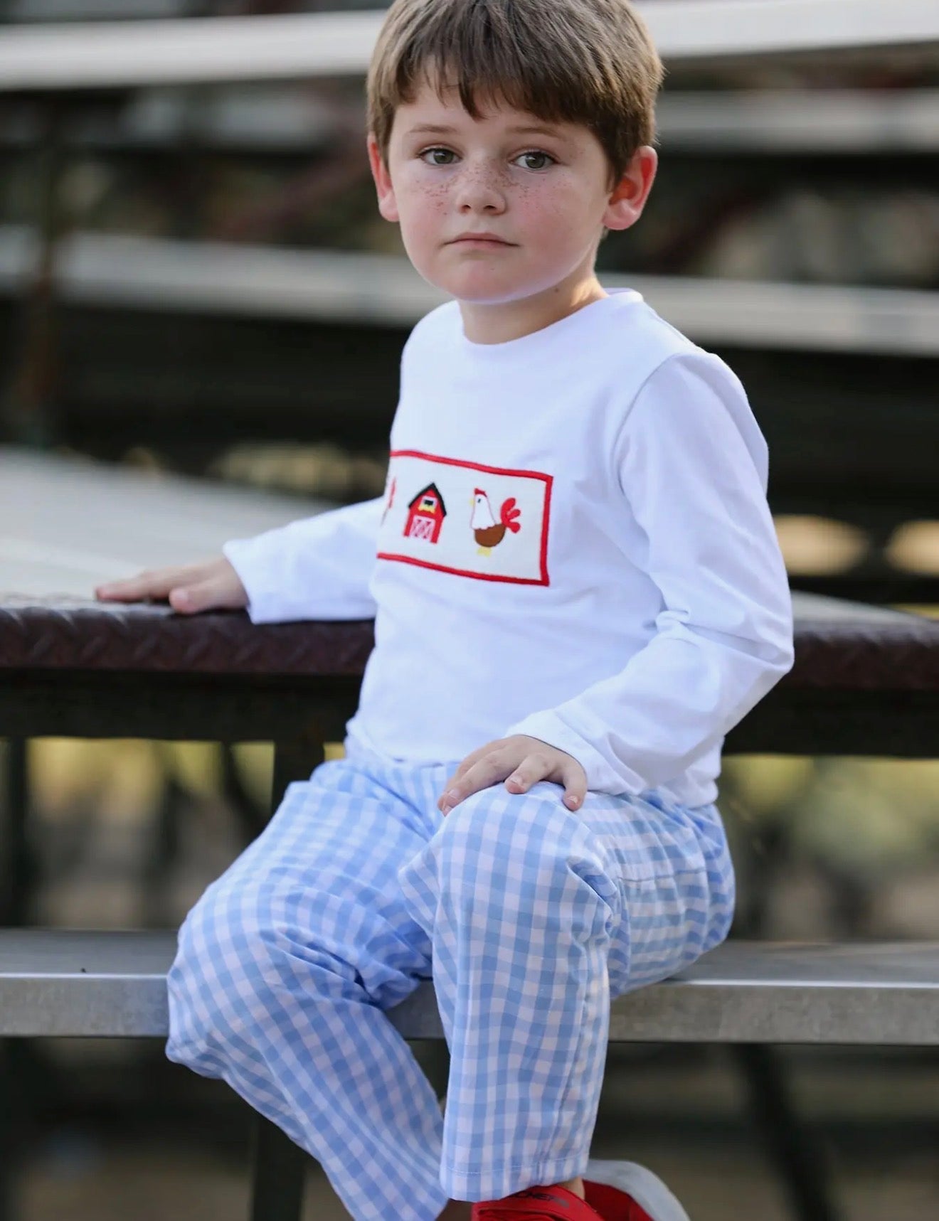 Farm Set