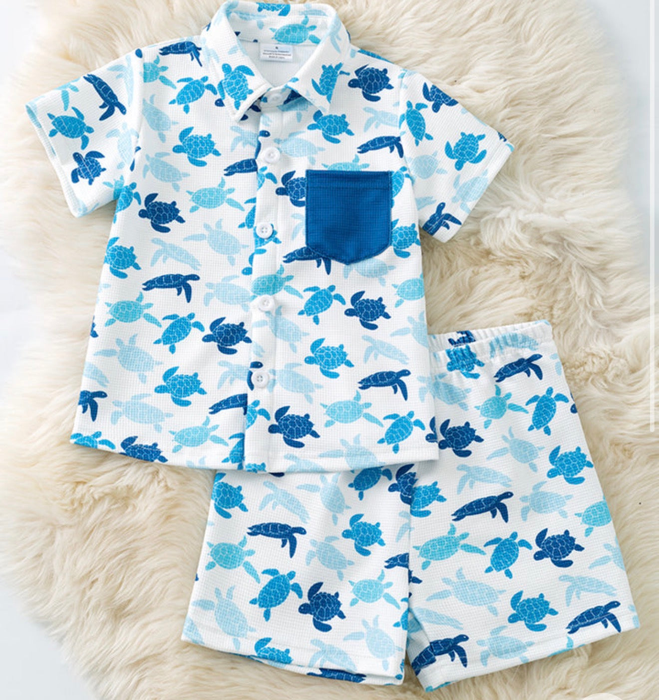 Turtle set 🐢